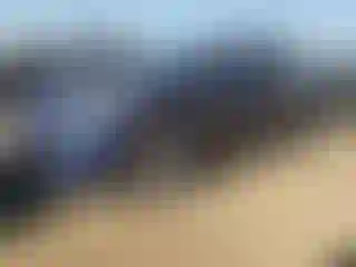 Vehicle Image- 2022 Tesla Model 3