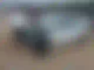 Vehicle Image- 2022 Tesla Model 3