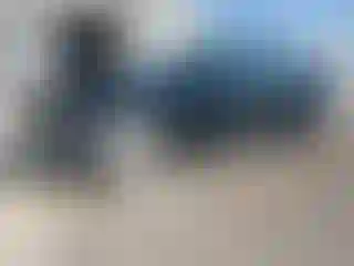 Vehicle Image- 2022 Tesla Model 3