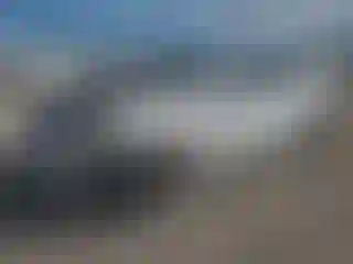 Vehicle Image- 2023 Tesla Model 3