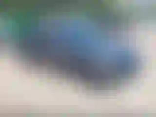 Vehicle Image- 2023 Tesla Model 3