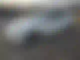 Vehicle Image- 2023 Tesla Model 3