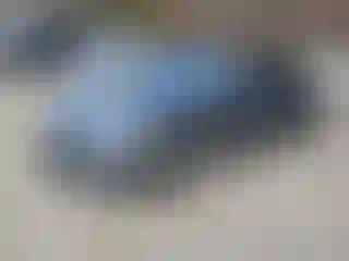 Vehicle Image- 2023 Tesla Model 3