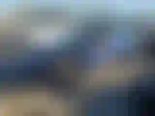 Vehicle Image- 2023 Tesla Model 3