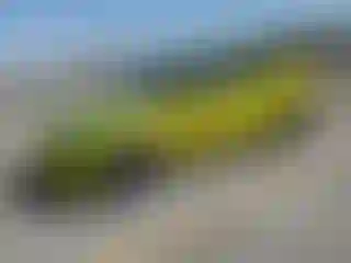 Vehicle Image- 2023 Tesla Model 3