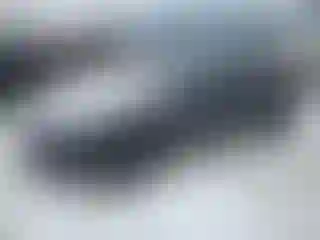 Vehicle Image- 2024 Tesla Model 3