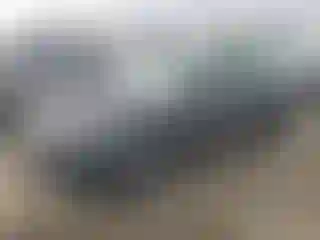 Vehicle Image- 2024 Tesla Model 3