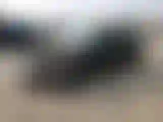 Vehicle Image- 2019 Tesla Model 3