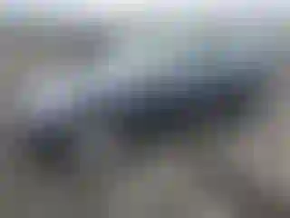 Vehicle Image- 2019 Tesla Model 3