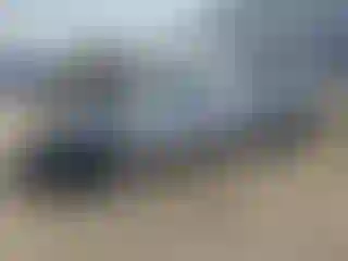 Vehicle Image- 2021 Tesla Model 3