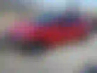 Vehicle Image- 2022 Tesla Model 3