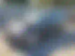 Vehicle Image- 2022 Tesla Model 3