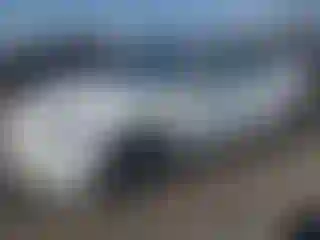 Vehicle Image- 2022 Tesla Model 3