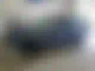 Vehicle Image- 2022 Tesla Model 3