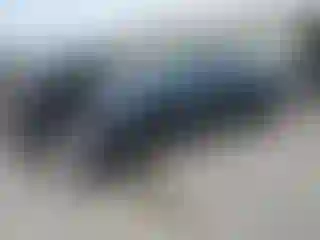 Vehicle Image- 2024 Tesla Model 3