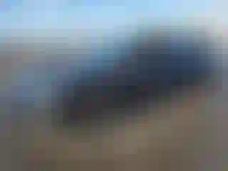 Vehicle Image- 2024 Tesla Model 3
