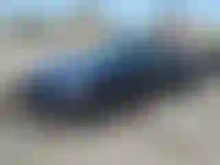 Vehicle Image- 2024 Tesla Model 3