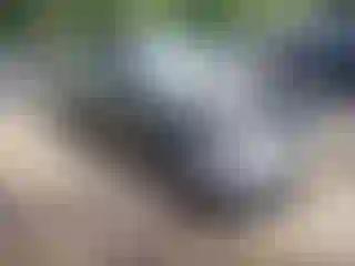 Vehicle Image- 2025 Tesla Model 3