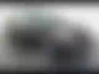 Vehicle Image- 2019 Tesla Model 3