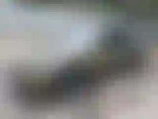 Vehicle Image- 2019 Tesla Model 3