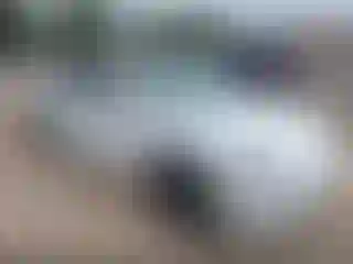 Vehicle Image- 2020 Tesla Model 3