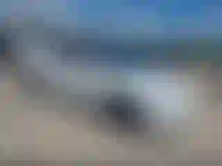 Vehicle Image- 2020 Tesla Model 3