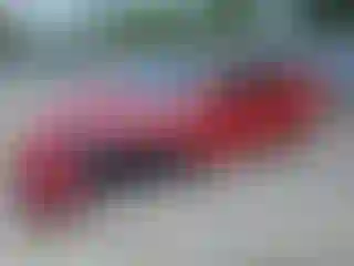 Vehicle Image- 2021 Tesla Model 3