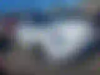 Vehicle Image- 2021 Tesla Model 3