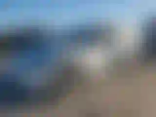 Vehicle Image- 2022 Tesla Model 3