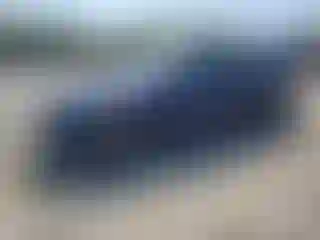 Vehicle Image- 2023 Tesla Model 3