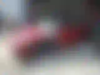 Vehicle Image- 2023 Tesla Model 3