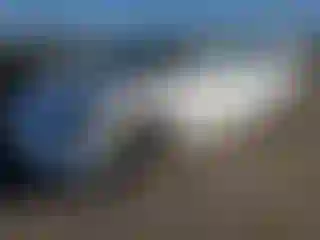 Vehicle Image- 2023 Tesla Model 3