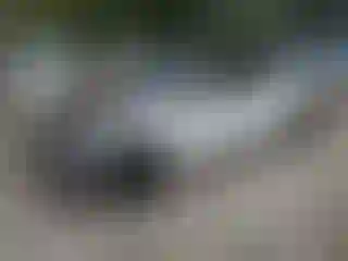 Vehicle Image- 2024 Tesla Model 3