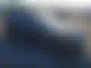 Vehicle Image- 2025 Tesla Model 3