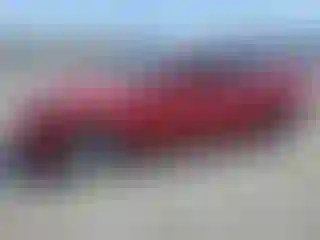 Vehicle Image- 2018 Tesla Model 3