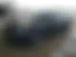 Vehicle Image- 2019 Tesla Model 3