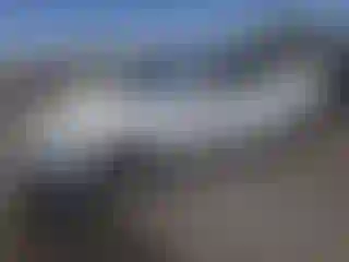 Vehicle Image- 2019 Tesla Model 3