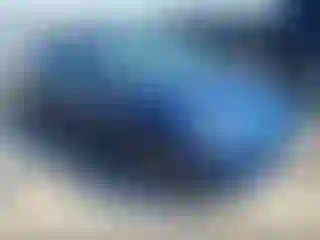 Vehicle Image- 2019 Tesla Model 3