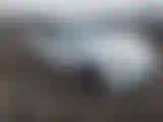 Vehicle Image- 2020 Tesla Model 3