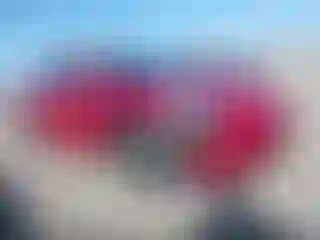 Vehicle Image- 2020 Tesla Model 3