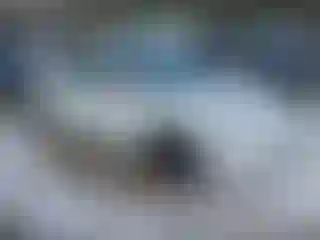 Vehicle Image- 2020 Tesla Model 3