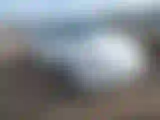 Vehicle Image- 2021 Tesla Model 3