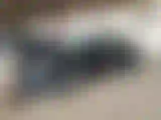 Vehicle Image- 2022 Tesla Model 3