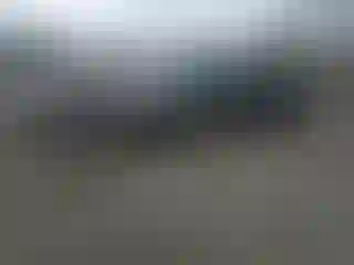 Vehicle Image- 2023 Tesla Model 3