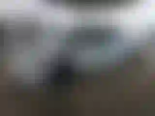 Vehicle Image- 2023 Tesla Model 3