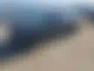 Vehicle Image- 2023 Tesla Model 3