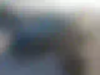 Vehicle Image- 2024 Tesla Model 3