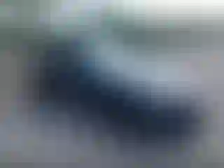 Vehicle Image- 2025 Tesla Model 3