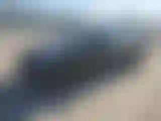 Vehicle Image- 2019 Tesla Model 3