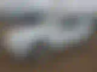 Vehicle Image- 2019 Tesla Model 3